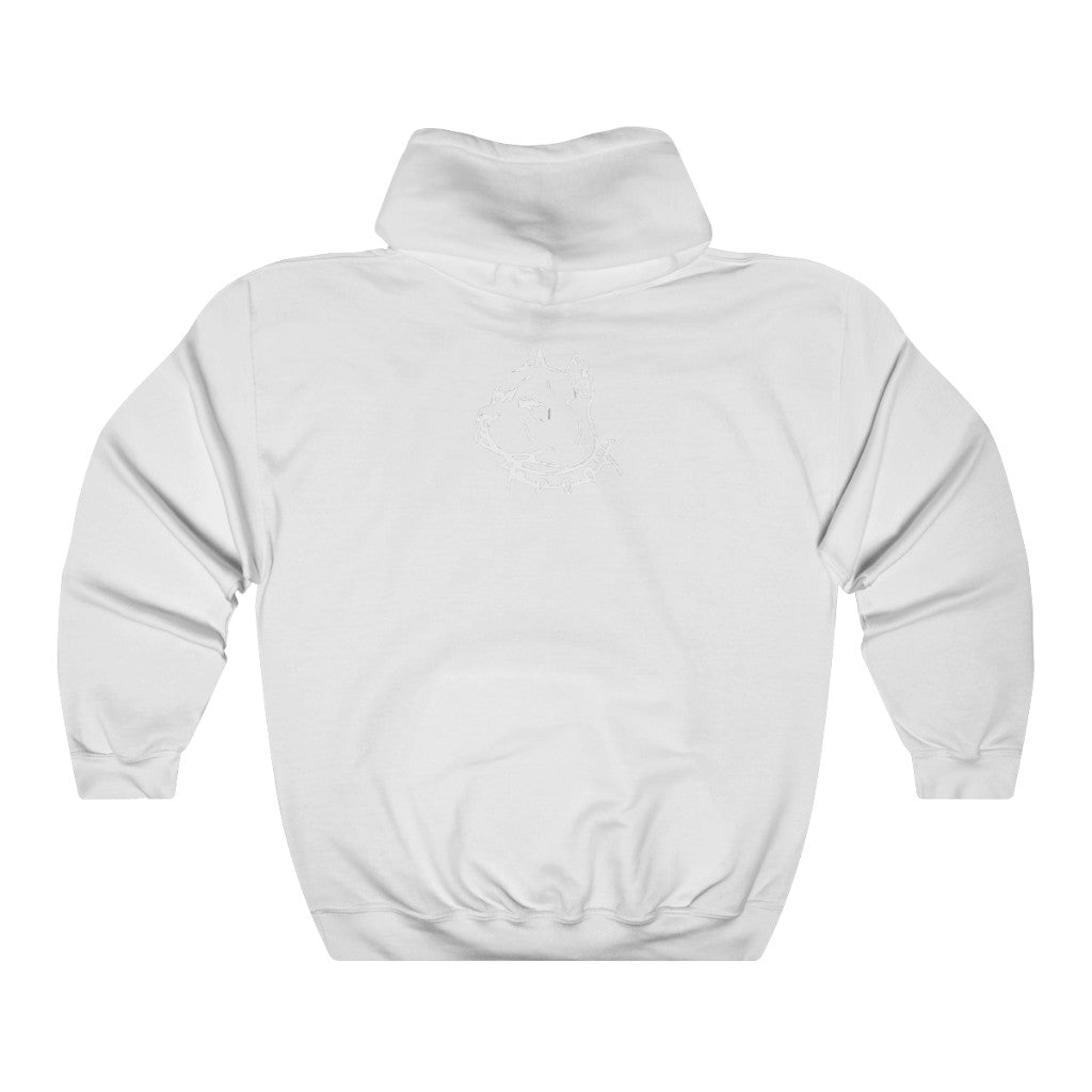 Planes and Palms Hoodie